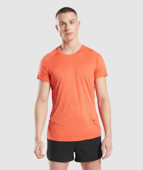 Men's Gymshark Speed Evolve T-Shirts Orange | NZ 2HXUEO